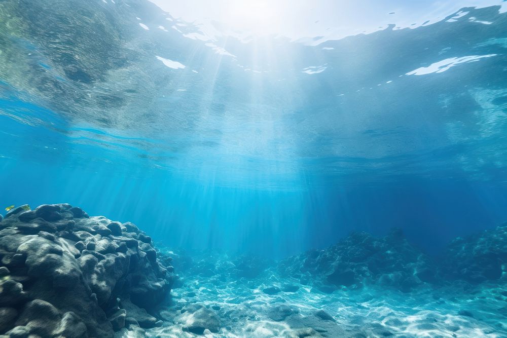 Empty ocean underwater outdoors nature. | Premium Photo - rawpixel