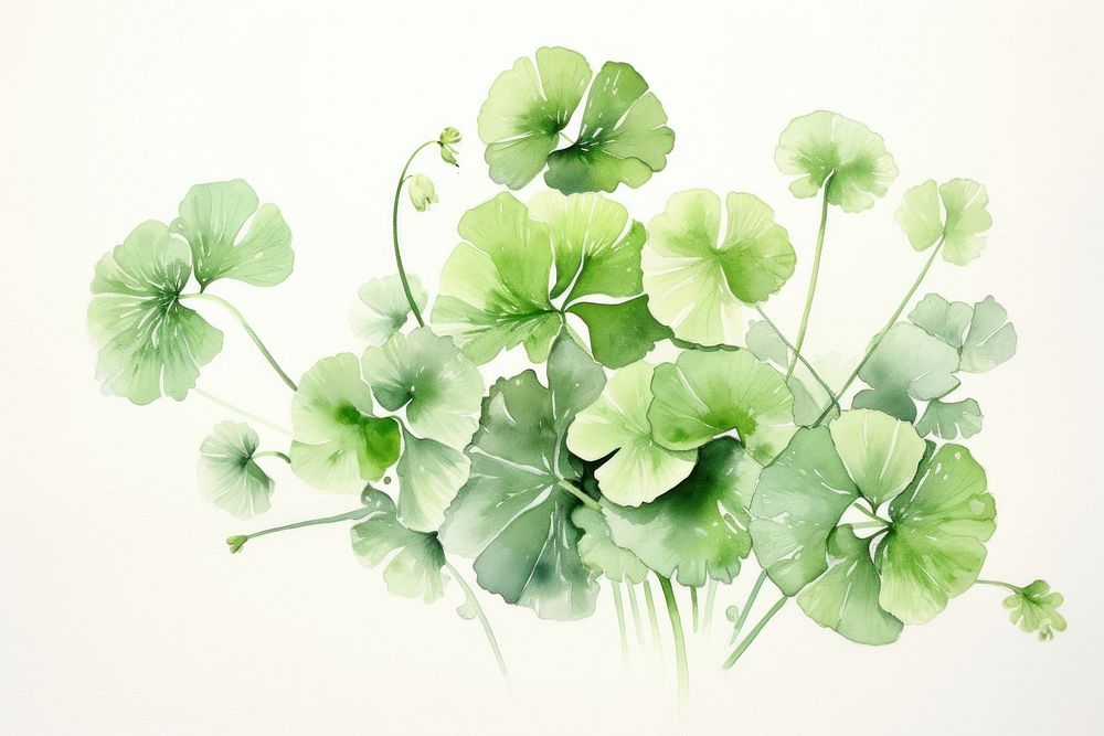Centella watercolor plant green leaf. AI generated Image by rawpixel.