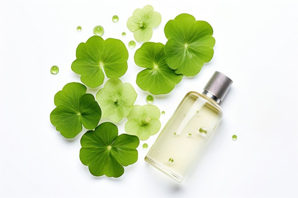 Centella skincare lotion cosmetics bottle plant. AI generated Image by rawpixel.