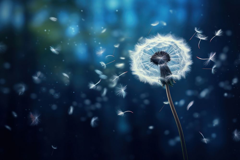 Dandelion flower plant seed. AI generated Image by rawpixel.