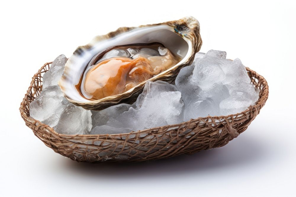 Food seafood oyster white background. AI generated Image by rawpixel.