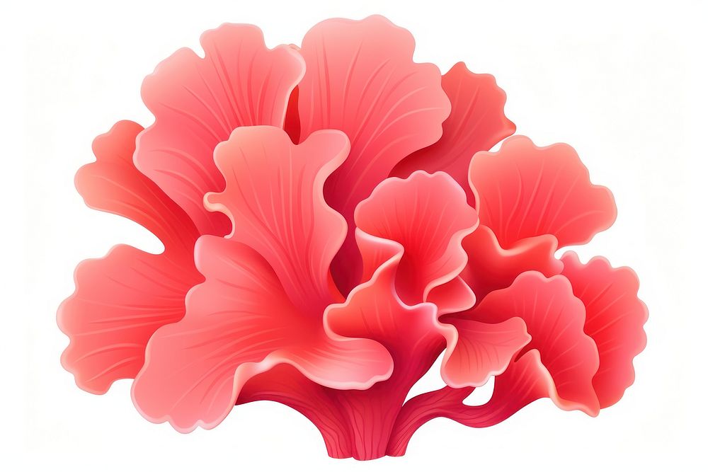 Coral flower petal plant. AI generated Image by rawpixel.
