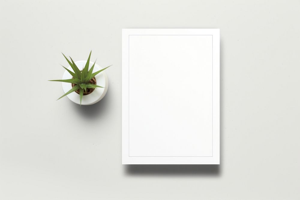 Flyer white plant simplicity. AI generated Image by rawpixel.
