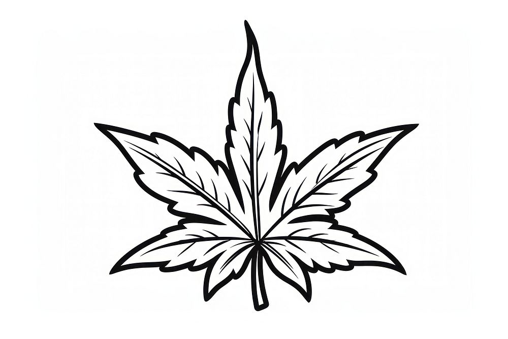 Cannabis drawing sketch plant. AI generated Image by rawpixel.