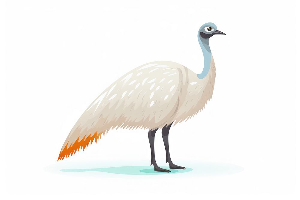 Emu animal bird white background. AI generated Image by rawpixel.