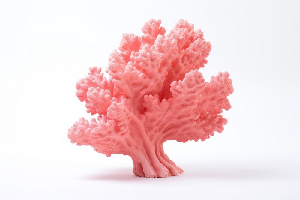 Coral nature food white background. AI generated Image by rawpixel.