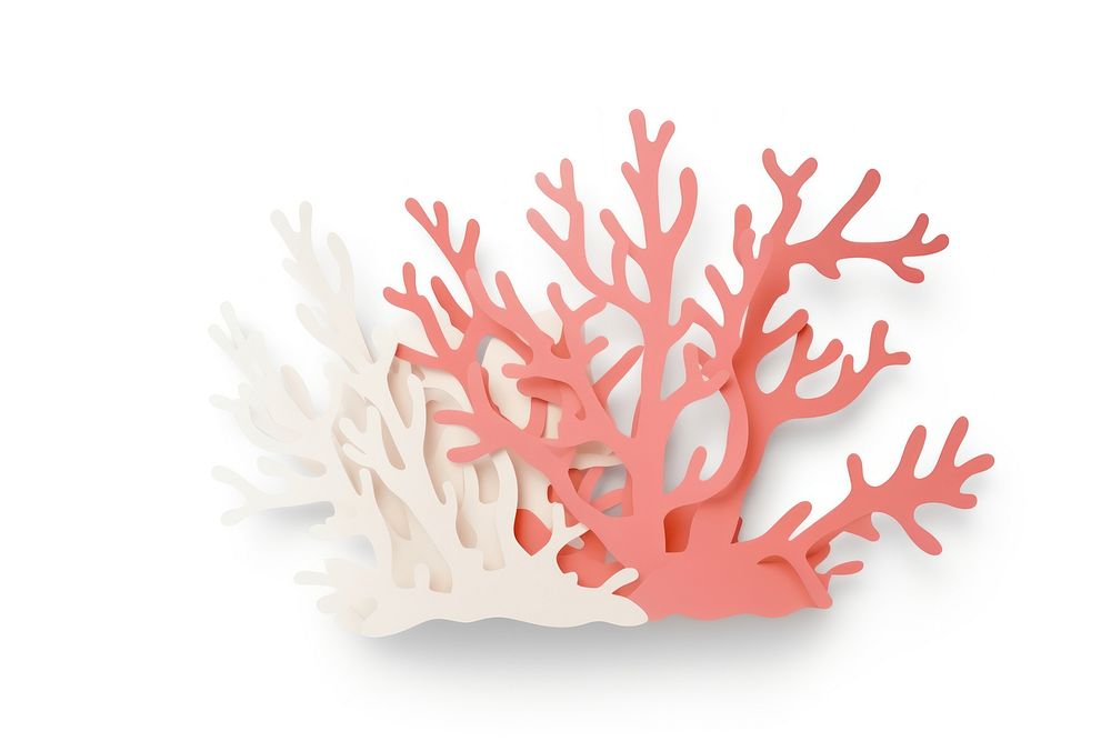 Coral reef sea nature white background. AI generated Image by rawpixel.