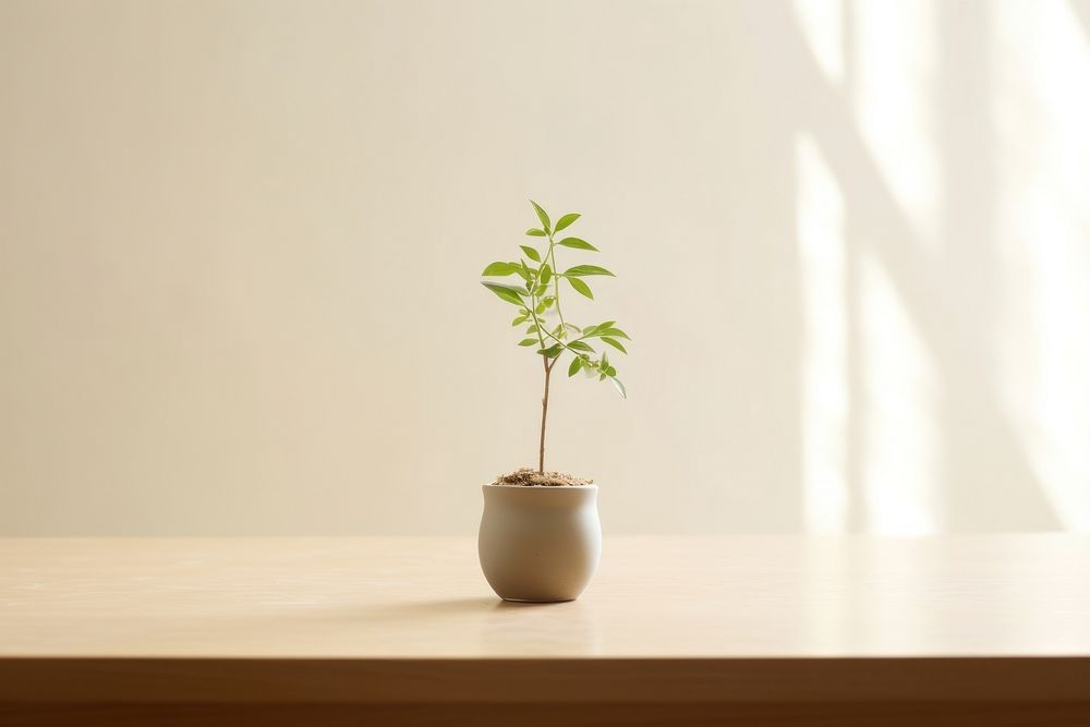 Plant windowsill table leaf. AI generated Image by rawpixel.