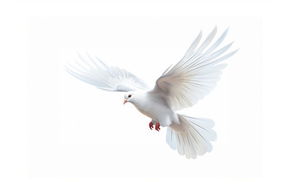 Dove animal flying white. AI generated Image by rawpixel.