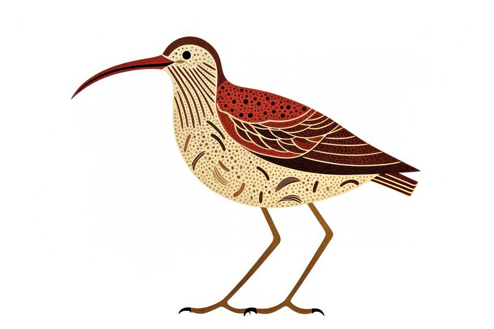 Brown bird beak animal white background. AI generated Image by rawpixel.