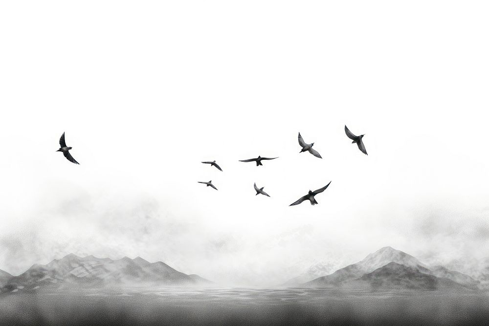 Birds flying flock outdoors. AI generated Image by rawpixel.