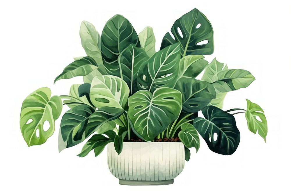 Houseplant leaf white background flowerpot. AI generated Image by rawpixel.