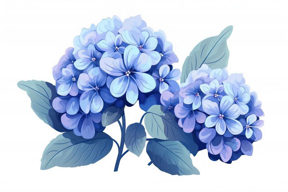 Hydrangea flower plant lilac. AI generated Image by rawpixel.