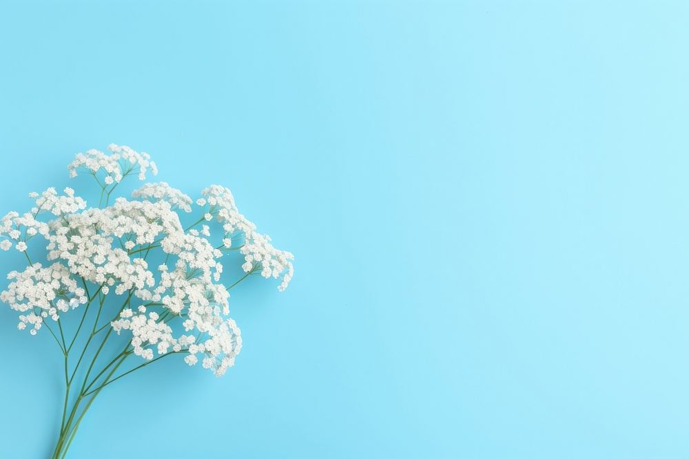 Flower nature white plant. AI generated Image by rawpixel.
