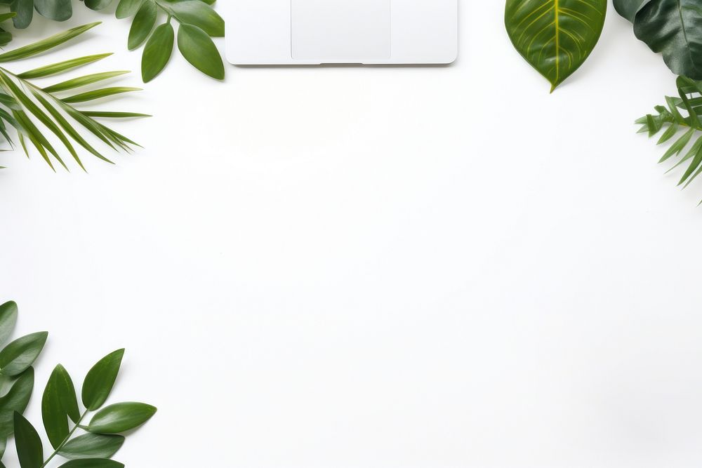 Backgrounds plant green leaf. AI generated Image by rawpixel.