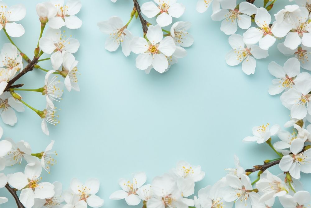 Spring floral blossom flower backgrounds. AI generated Image by rawpixel.