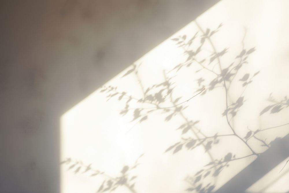 Wall branch shadow window. AI generated Image by rawpixel.