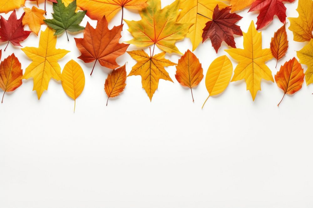 Autumn seasonal background backgrounds falling autumn. AI generated Image by rawpixel.