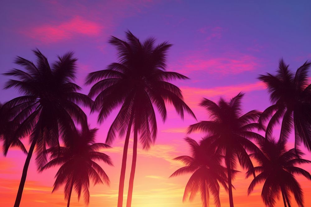 Colorful sky palm Silhouette tree. AI generated Image by rawpixel.