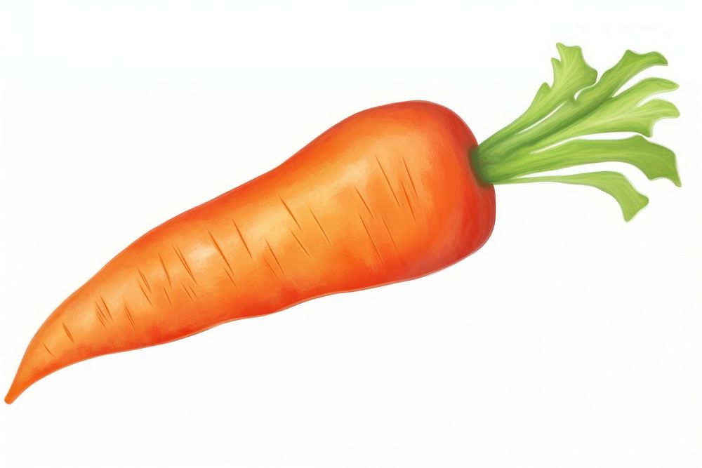 Carrot vegetable plant food. AI generated Image by rawpixel.