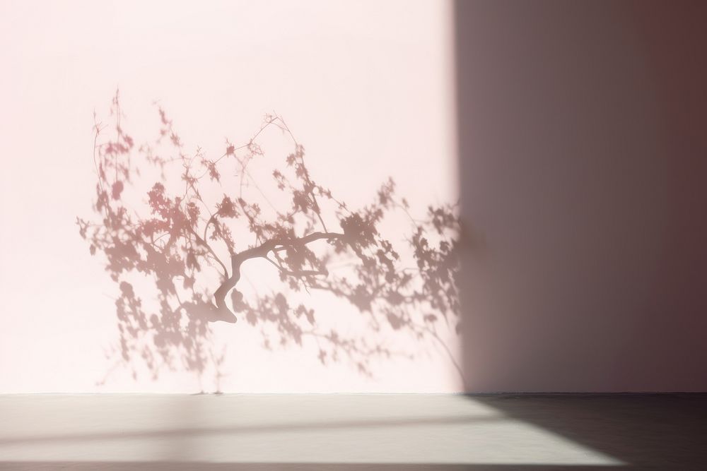 Shadow flower light plant. AI generated Image by rawpixel.