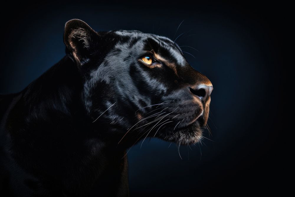 Black panther face wildlife animal mammal. AI generated Image by rawpixel.