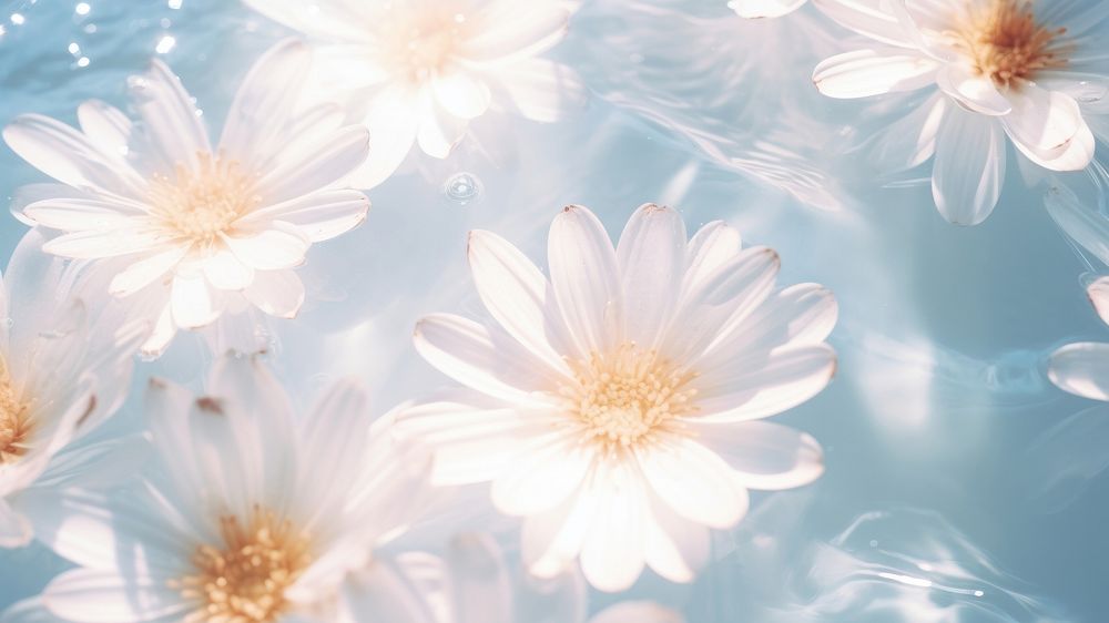 Flower backgrounds outdoors blossom. AI generated Image by rawpixel.