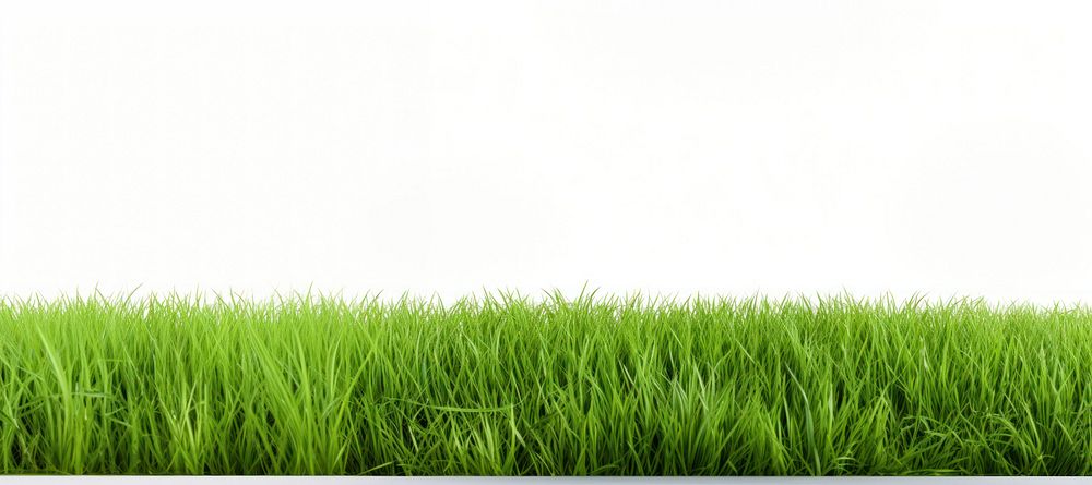 Big grass field backgrounds outdoors | Premium Photo - rawpixel