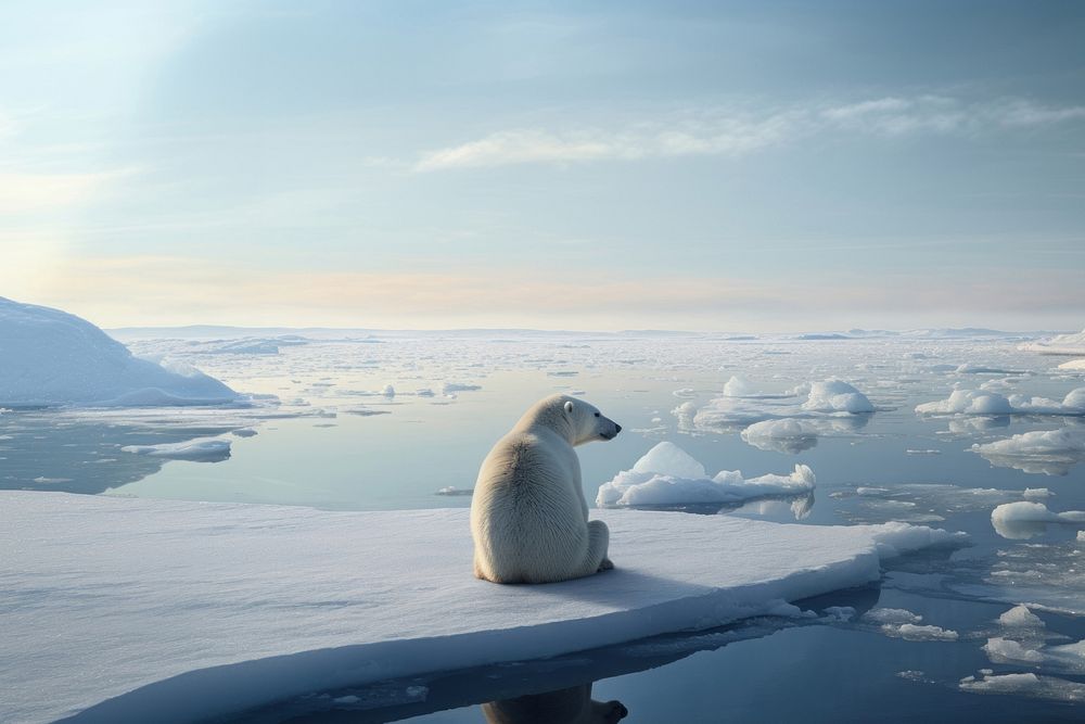 Polar bear, wildlife outdoors. AI generated Image by rawpixel.