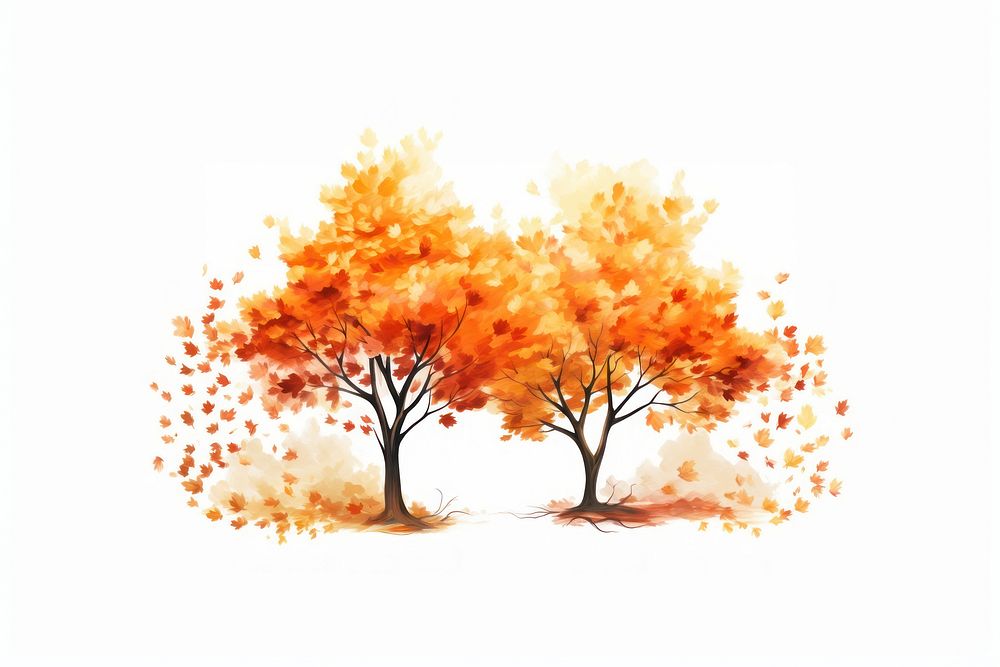 Fall trees drawing plant white background. AI generated Image by rawpixel.