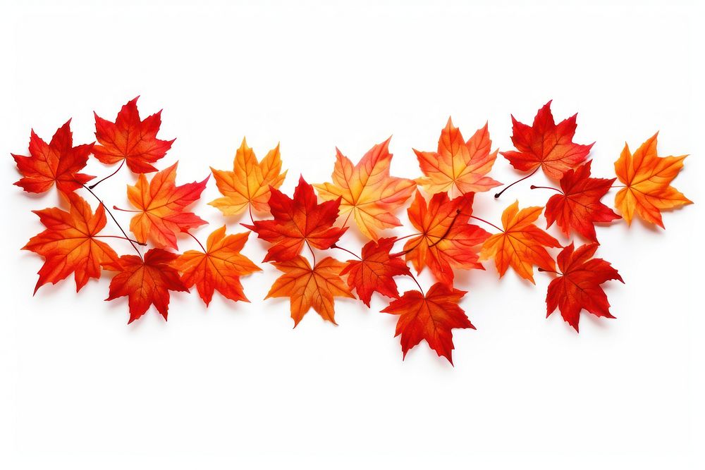 Fall trees maple leaves plant. AI generated Image by rawpixel.