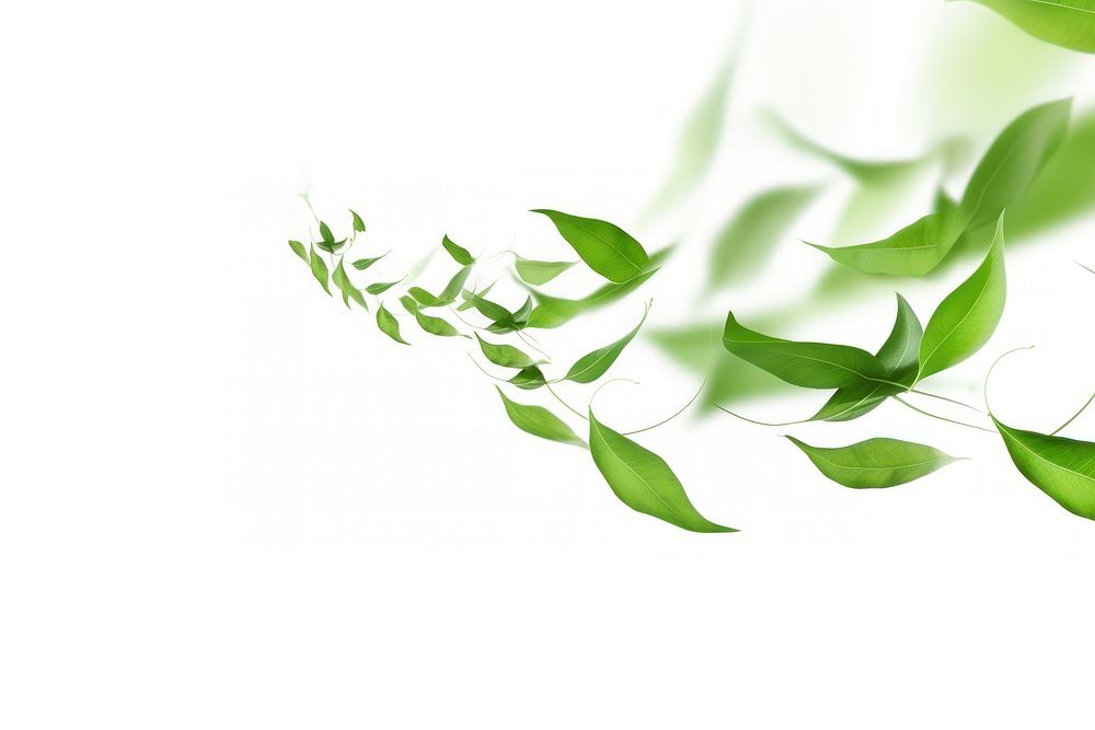 Green leaves falling backgrounds plant leaf. AI generated Image by rawpixel.