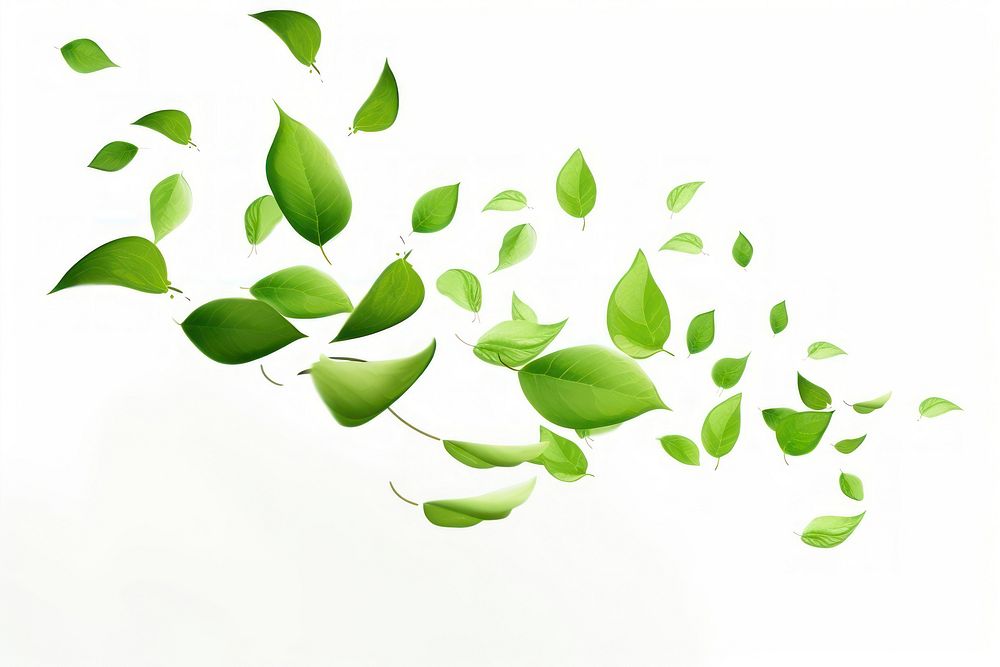 Green leaves plant leaf branch. AI generated Image by rawpixel.
