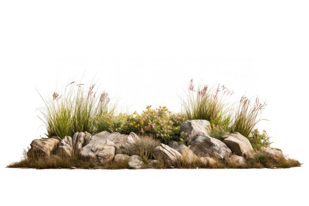 Rocky grass field flower outdoors nature. AI generated Image by rawpixel.