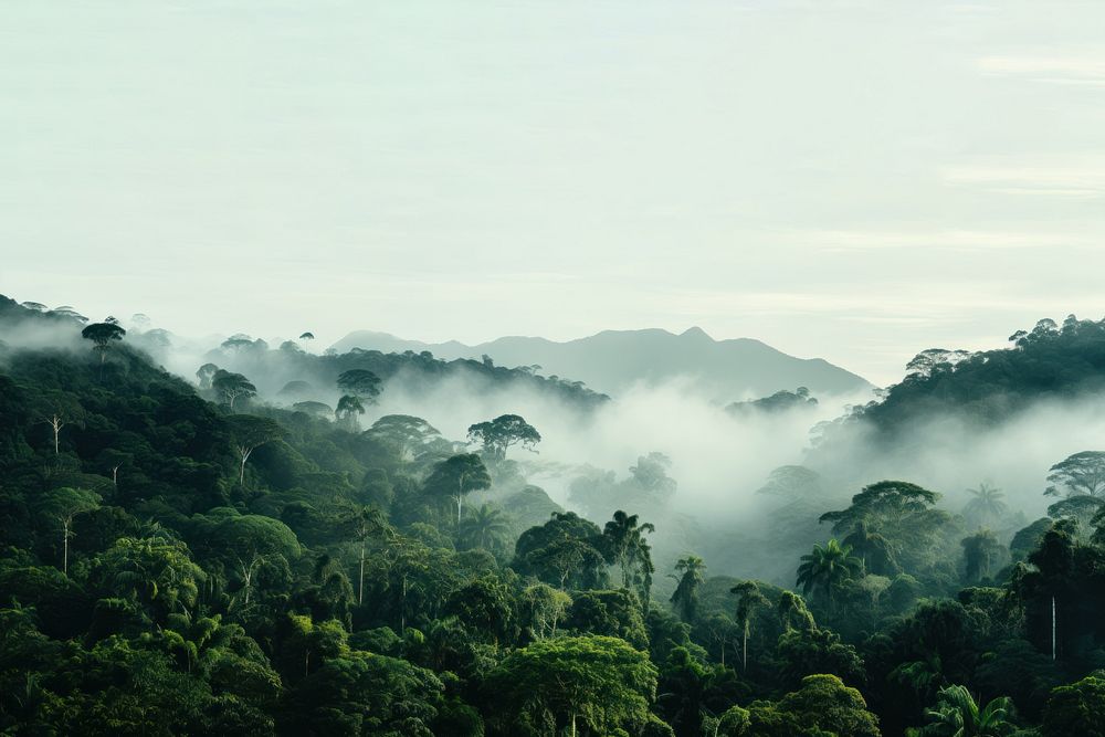 Photo of Amazon rainforest. AI generated Image by rawpixel.