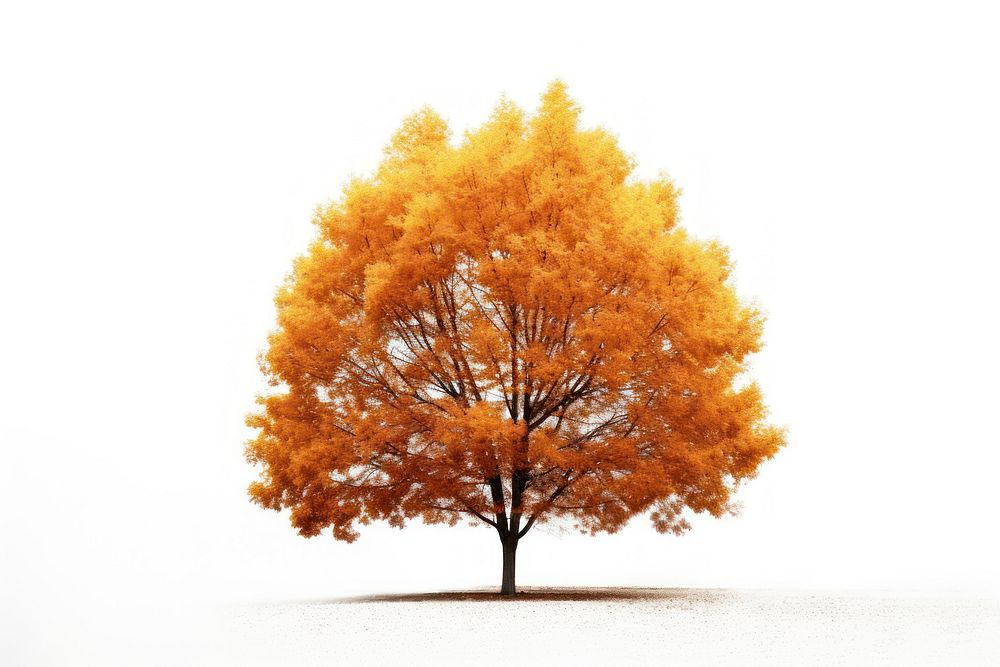 Fall trees plant maple leaf. AI generated Image by rawpixel.