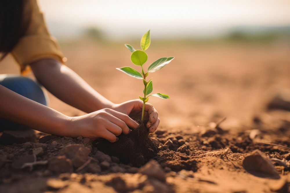 Girl planting a small tree outdoors nature soil. AI generated Image by rawpixel.