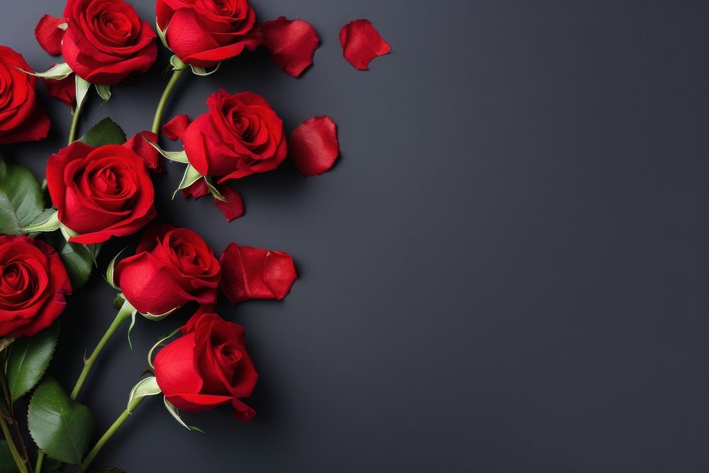 Red roses flowers petal plant red. AI generated Image by rawpixel.
