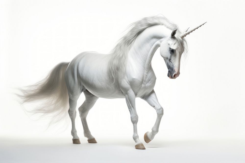 Unicorn stallion animal mammal. AI generated Image by rawpixel.