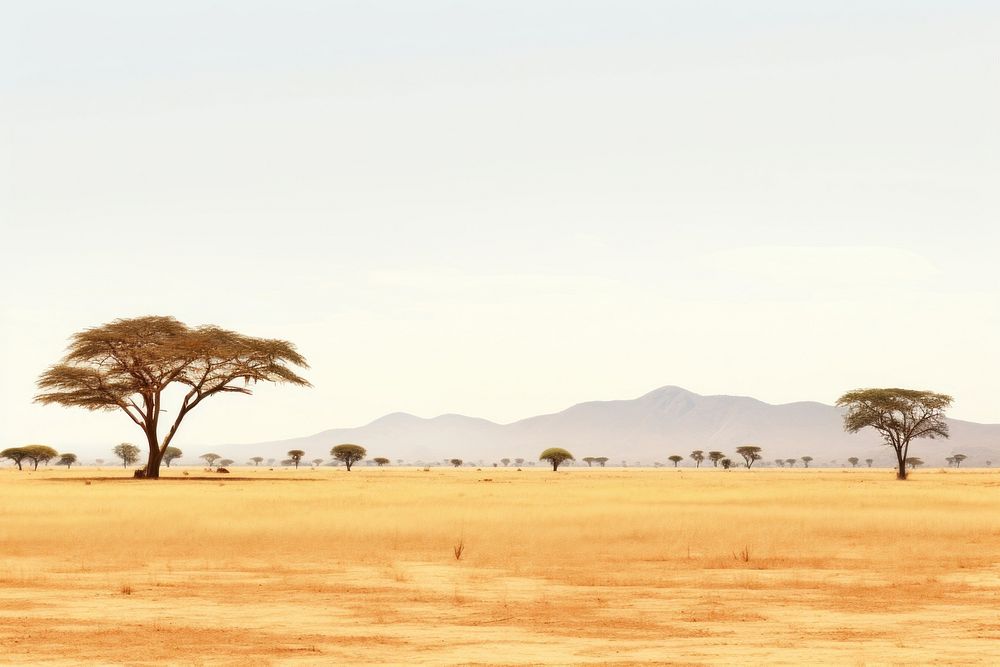 African savanna field landscape grassland outdoors. AI generated Image by rawpixel.