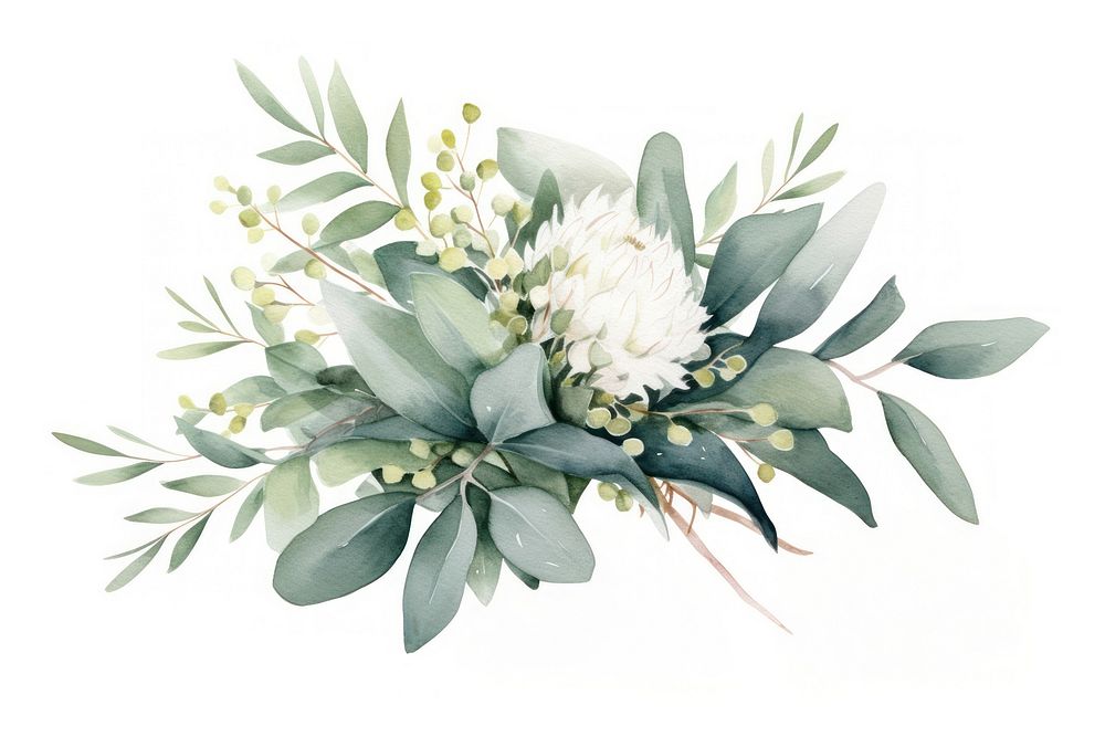 Eucalyptus bouquet flower plant leaf. AI generated Image by rawpixel.