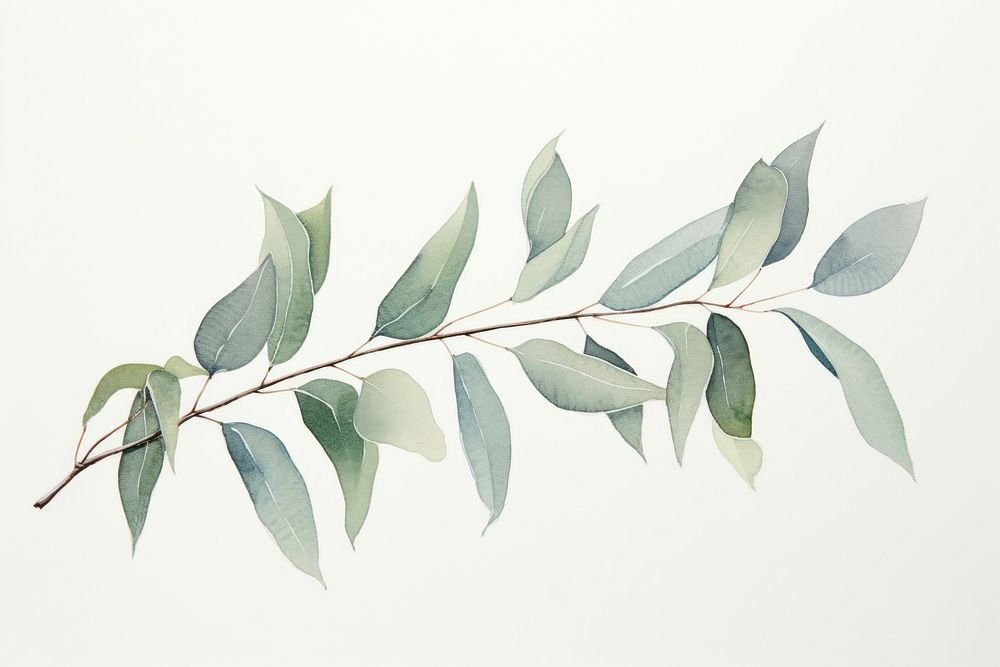 Eucalyptus branch plant leaf tree. AI generated Image by rawpixel.