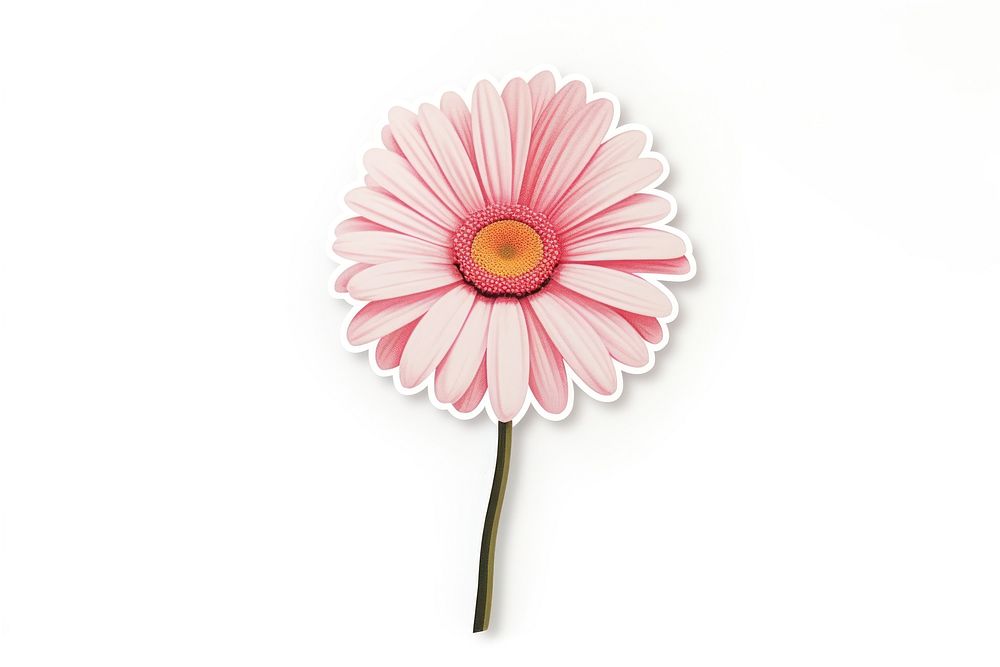 Aesthetic flower petal daisy. AI generated Image by rawpixel.