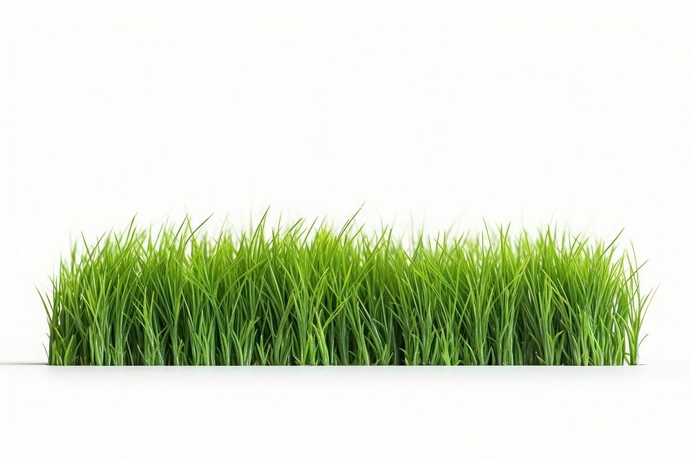 Grass plant green lawn. AI generated Image by rawpixel.