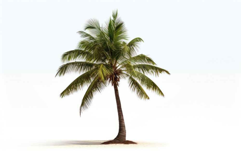 Seascape tree coconut plant. AI generated Image by rawpixel.