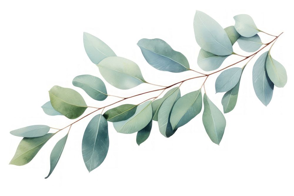 Eucalyptus plant leaf tree. AI generated Image by rawpixel.