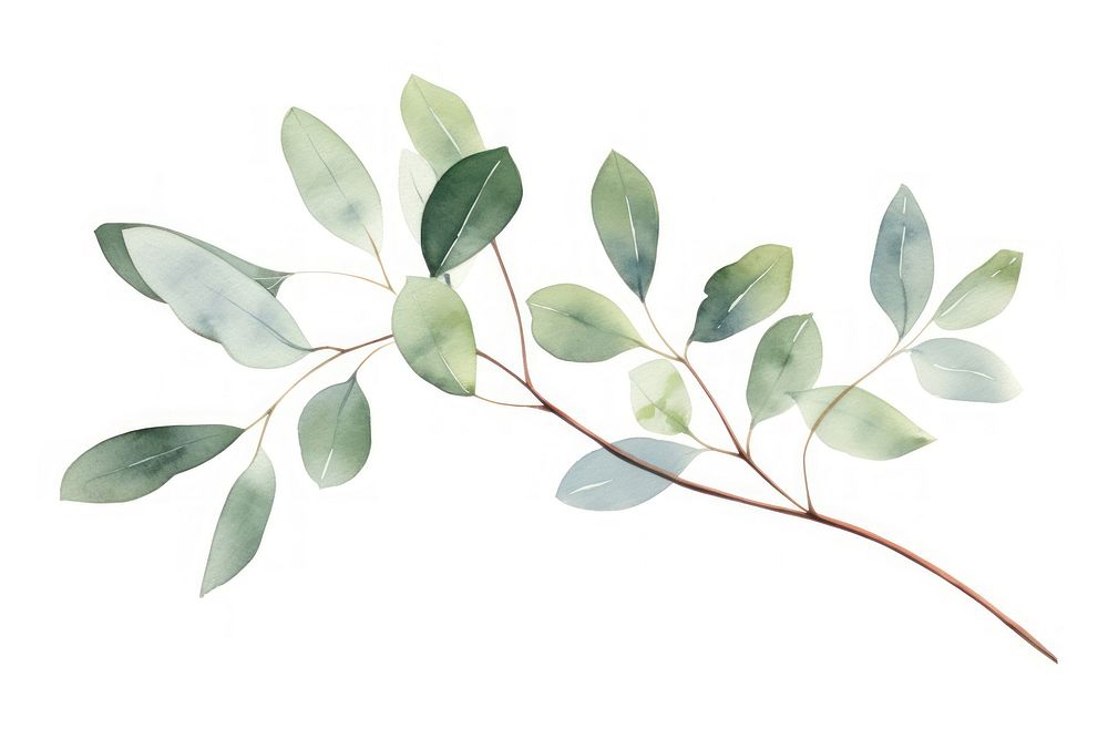 Eucalyptus branch plant leaf tree. AI generated Image by rawpixel.