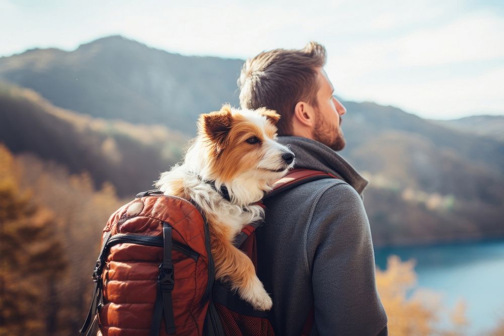 Photo of man travelling with his dog in a backpack. 