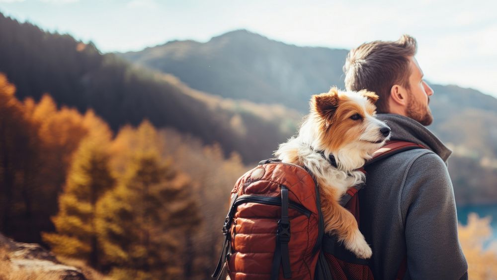 Photo of man travelling with his dog in a backpack. AI generated Image by rawpixel.