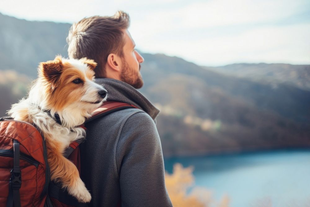 Photo of man travelling with his dog in a backpack. AI generated Image by rawpixel.